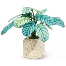 Mini Sklep z Warzywami